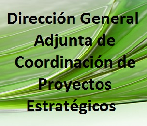 Dirección General Adjunta de Coordinación de Proyectos Estratágicos 